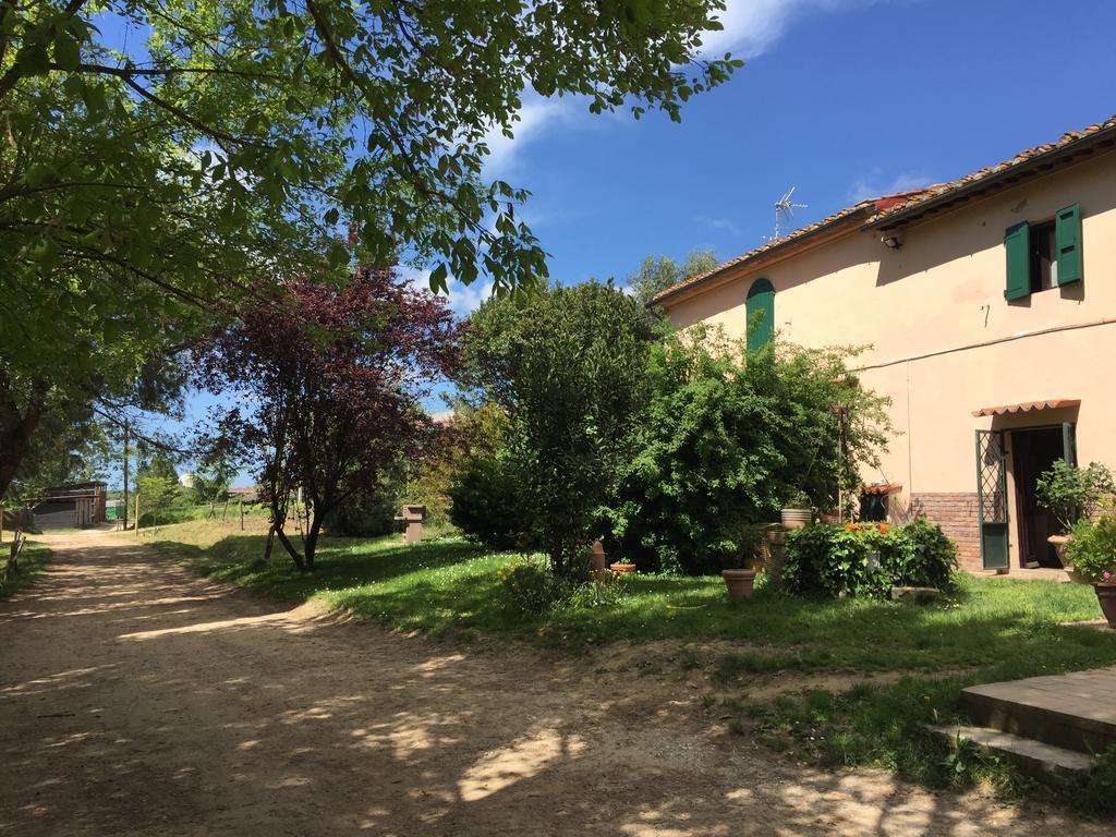 Fioralice Guest House Fauglia ภายนอก รูปภาพ
