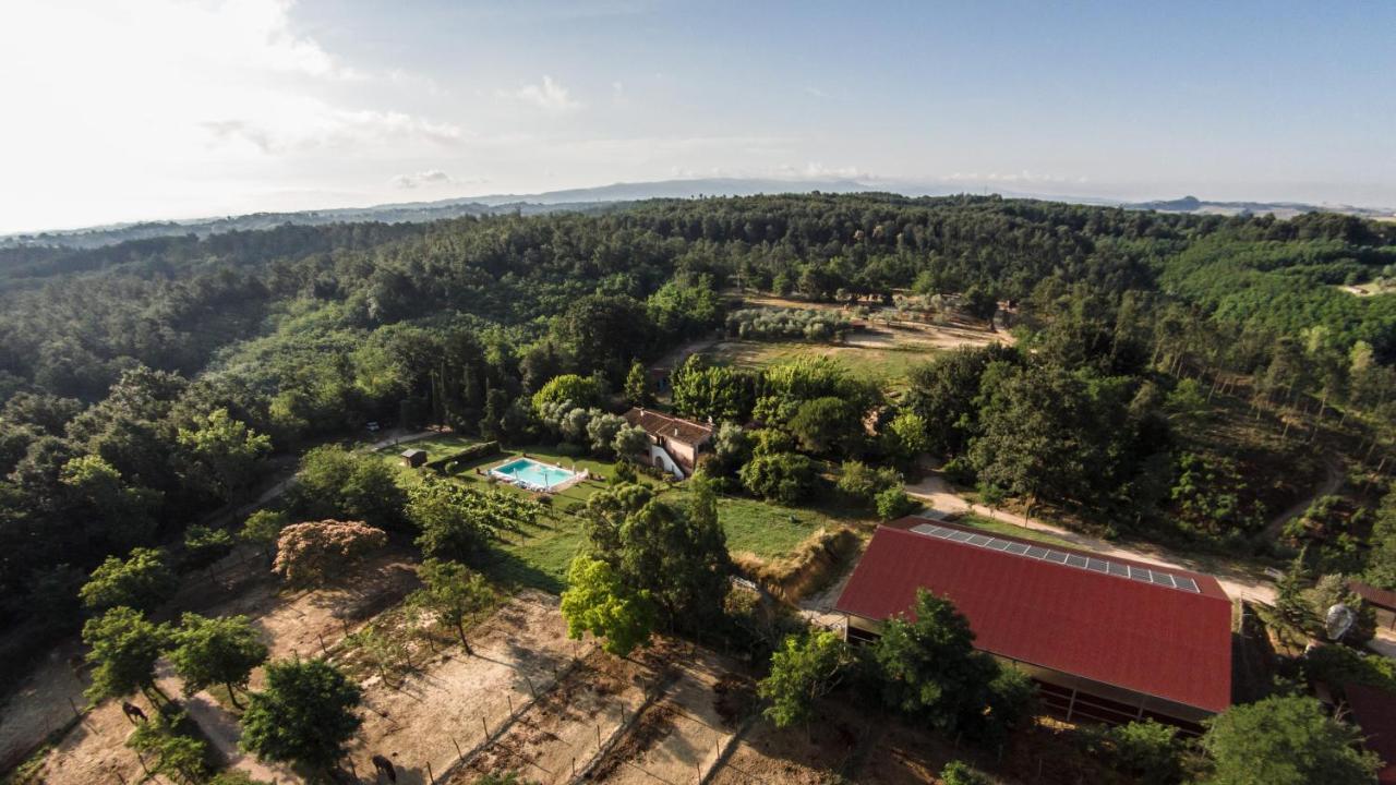 Fioralice Guest House Fauglia ภายนอก รูปภาพ